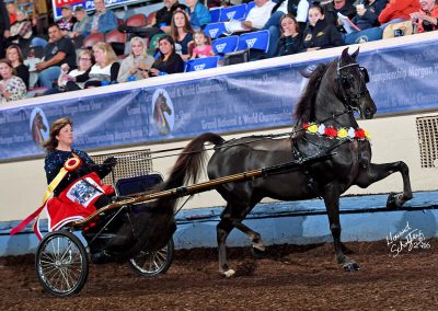 Millennium Force GCH