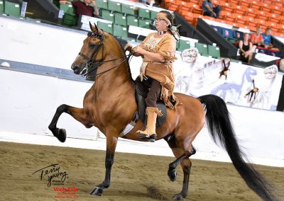 Starboard's Blitz Krieg GCH