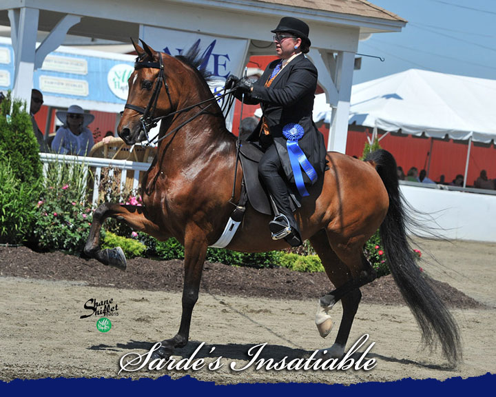 Sarde’s Insatiable